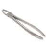 Extracting Forceps1