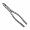 Extracting Forceps3