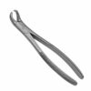 Extracting Forceps4