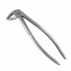 Extracting Forceps5